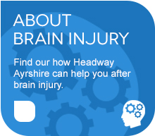 About Brain Injury